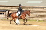 SBM_000291