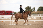 SBM_05341