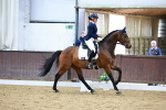 SBM_003920