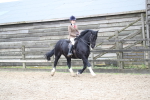 SBM_006271