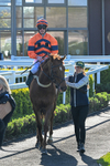 220426-Race 7-Free Pic-1004
