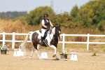 SBM_018271