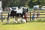 SBM_08960