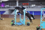 SBM_009094