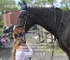 BPP_4753
