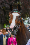 180523-Race 2-Free Wind-0298