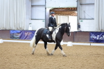 SBM_000330