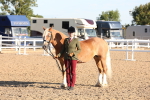 SBM_10789