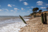 Lepe