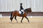 Class 5 - Novice 5 portfolio