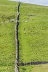 Settle Hills-5