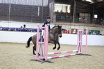 AJG_1528_1