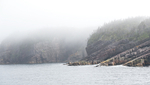 WITLESS BAY IN FOG