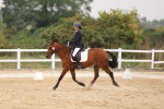 SBM_01508