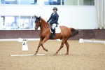 SBM_002835