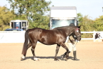 SBM_08306