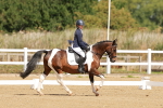 SBM_000390