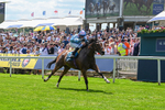 230526-Race 1-Lord Roxby-5776