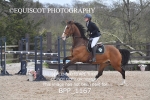 BPP_1167