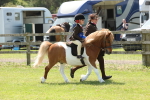 SBM_05433