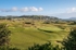 DSC_3812-2