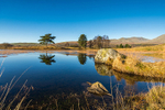 Kelly Hall Tarn