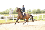 SBM_007850