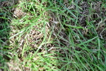 SBM_03401