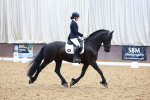 SBM_020604