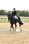 SBM_001913
