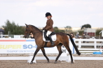 SBM_07924
