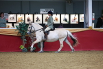 SBM_05461