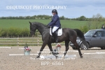 BPP_6561