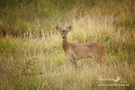 130620 -0017ab