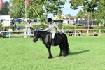 SBM_51988