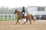 SBM_003337
