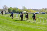 220426-Race 3-Cranachan-0282
