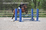 BPP_4009