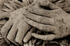 HANDS