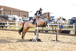 SBM_003433