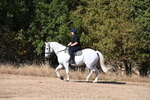 WJ6_7004