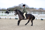 Class 31-32 - M&M Confined Novice Small-Large portfolio