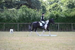 WJ6_4211