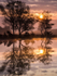 Whitten Pond
