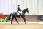 SBM_004041