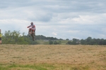 DSCF0784