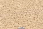 230611A-094126-04584
