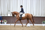 SBM_01880