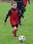 Kendal Utd Under 7 v Sedbergh Wanderers Under 7 (29/10/22) portfolio