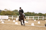 SBM_003246